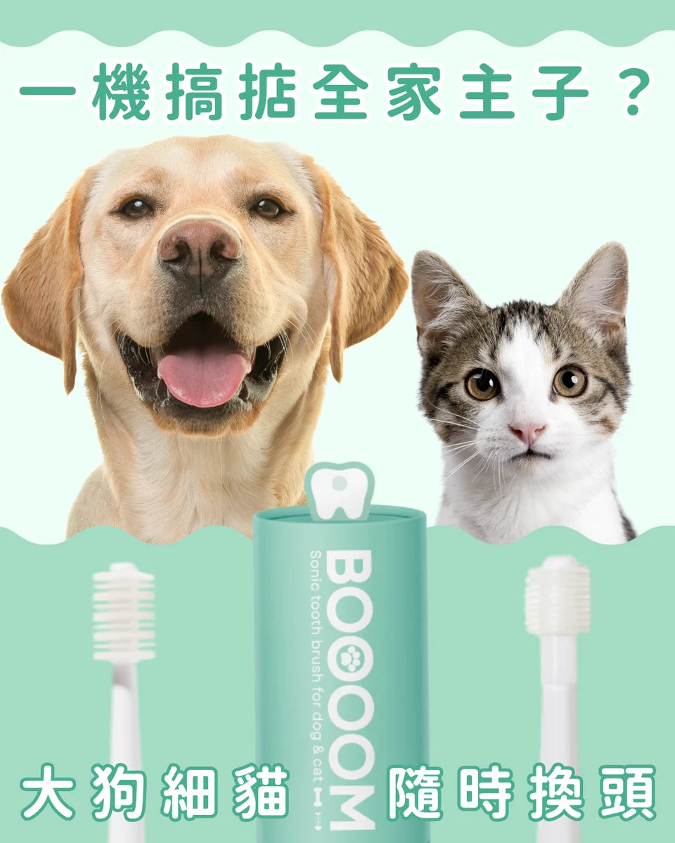BOOOOM 360° Sonic Vibrating Pet Toothbrush Replacement Heads – Made in Japan