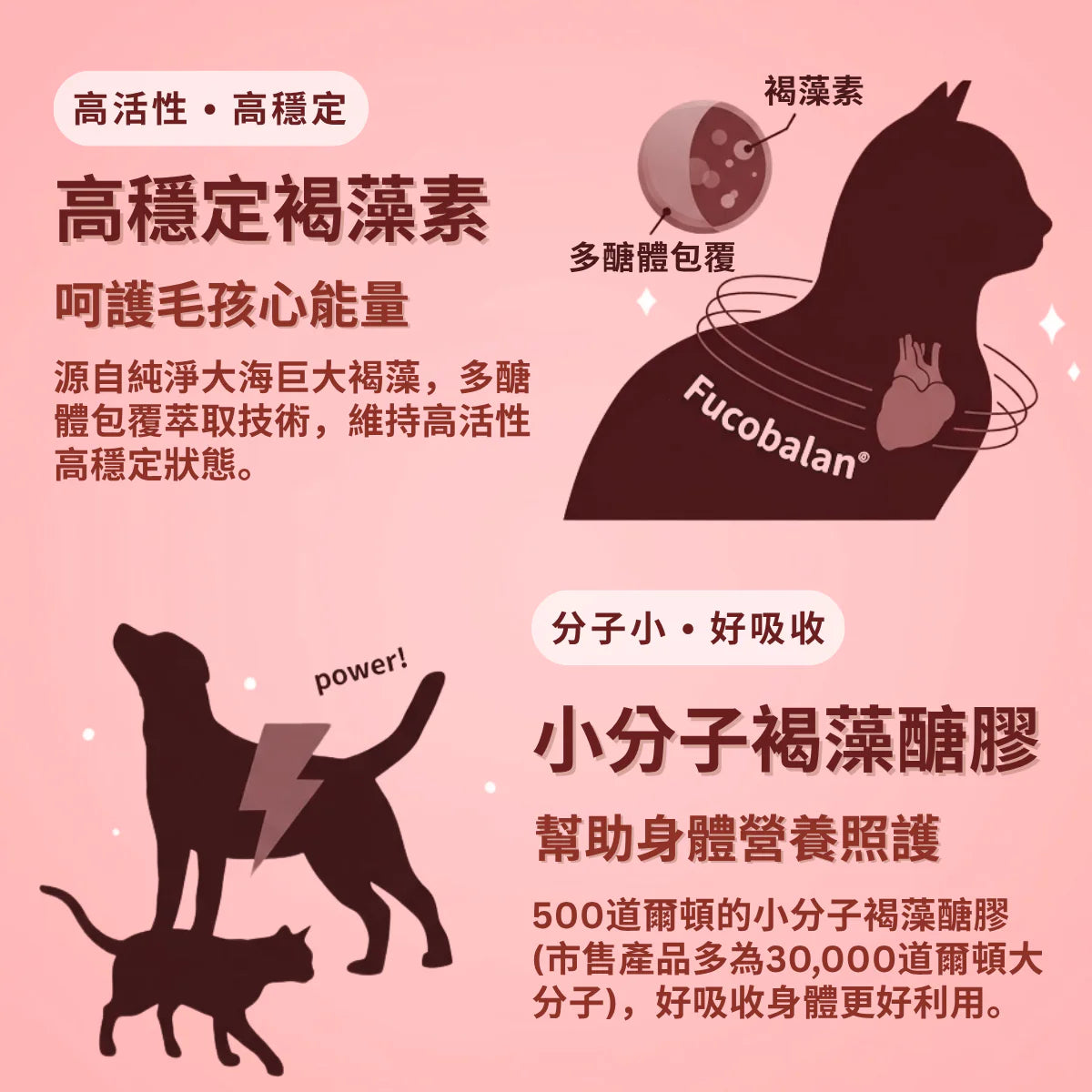HeartFight 醫護加強型藻心沛心臟護理 (大劑量650mg) 30 粒