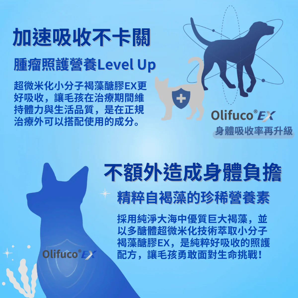 ImmuArmor 醫護加強型 藻康留免疫健康 30 粒 (小劑量 320mg) 30 粒