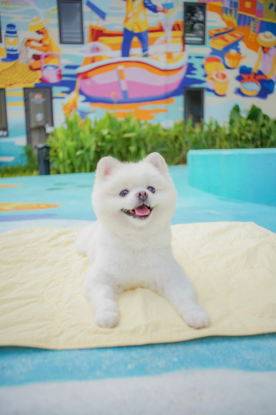 AU-au! Teddy Heaven Travel Mat (Plus)