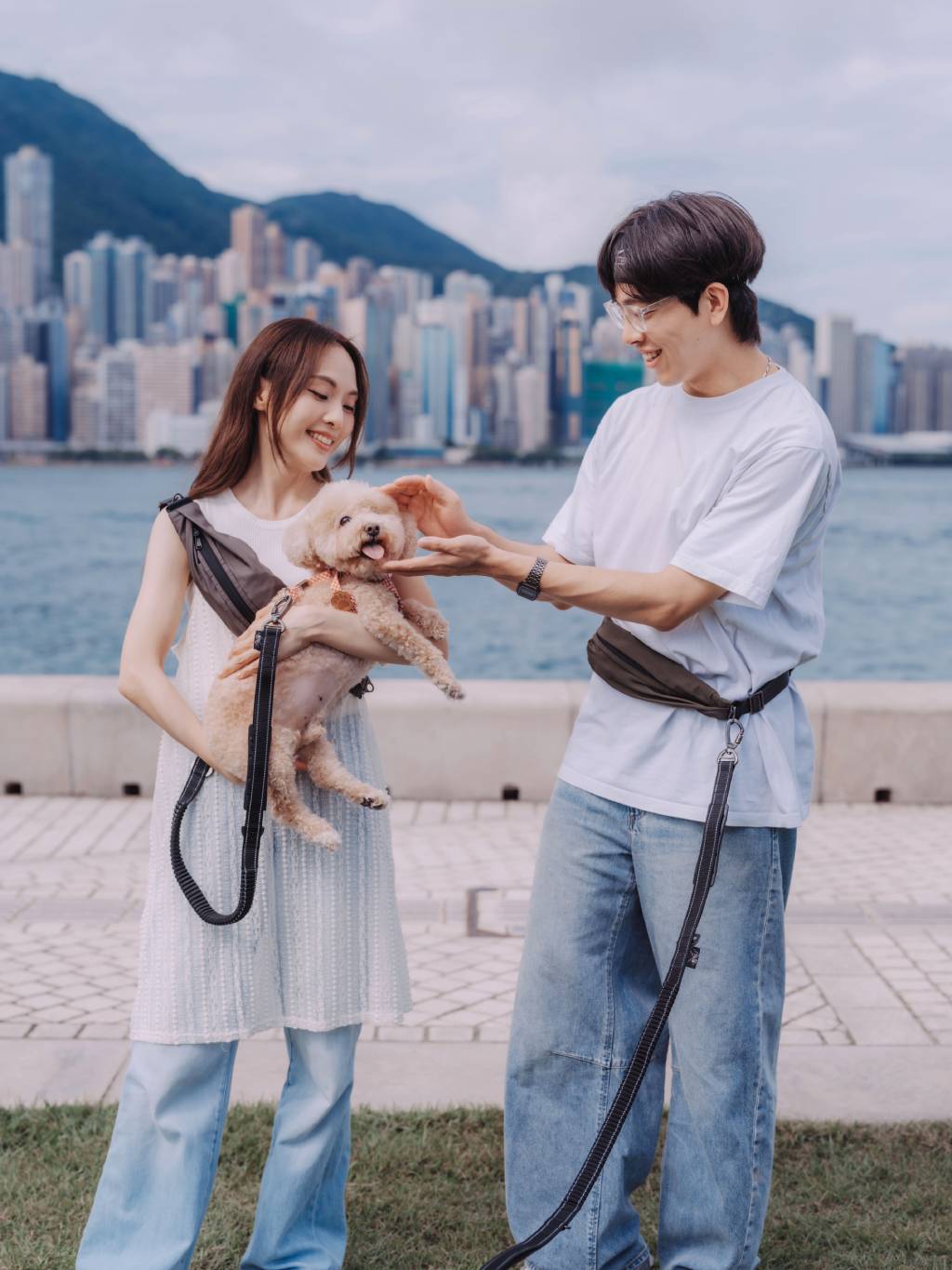 AU-au! Leslie Multi-functional Dog Leash