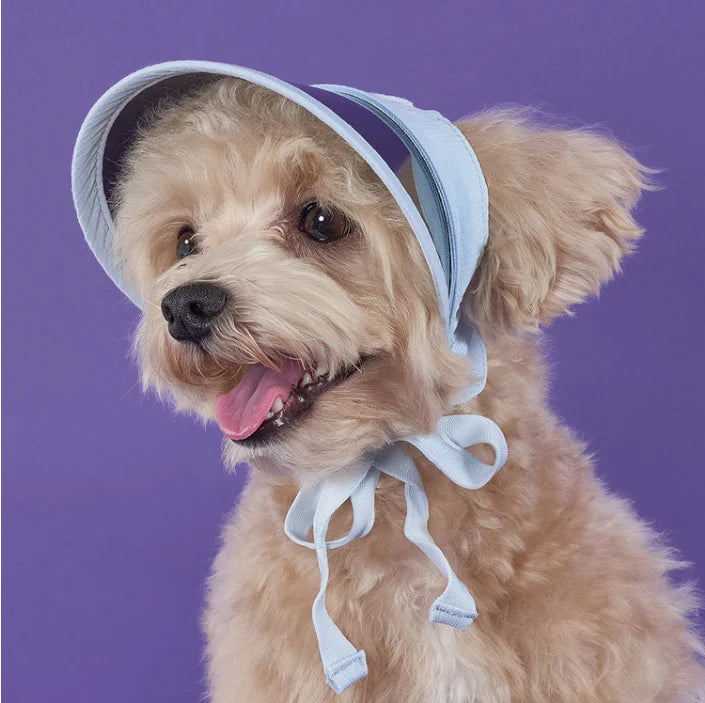 Super Pet UV Protection Pet Sun Hat (DG017)