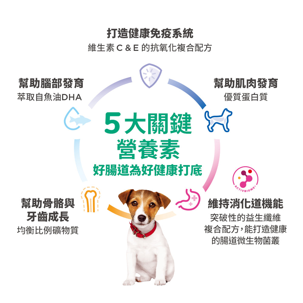 幼犬 大型犬種 15 公斤 狗糧 (6484HG)