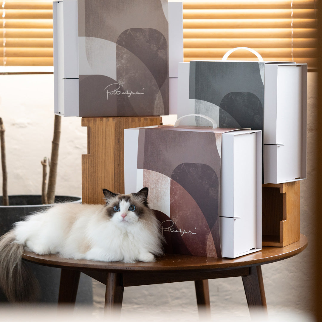 Pettellyava' Mystery Box Cats scratching boards designed with multi functions