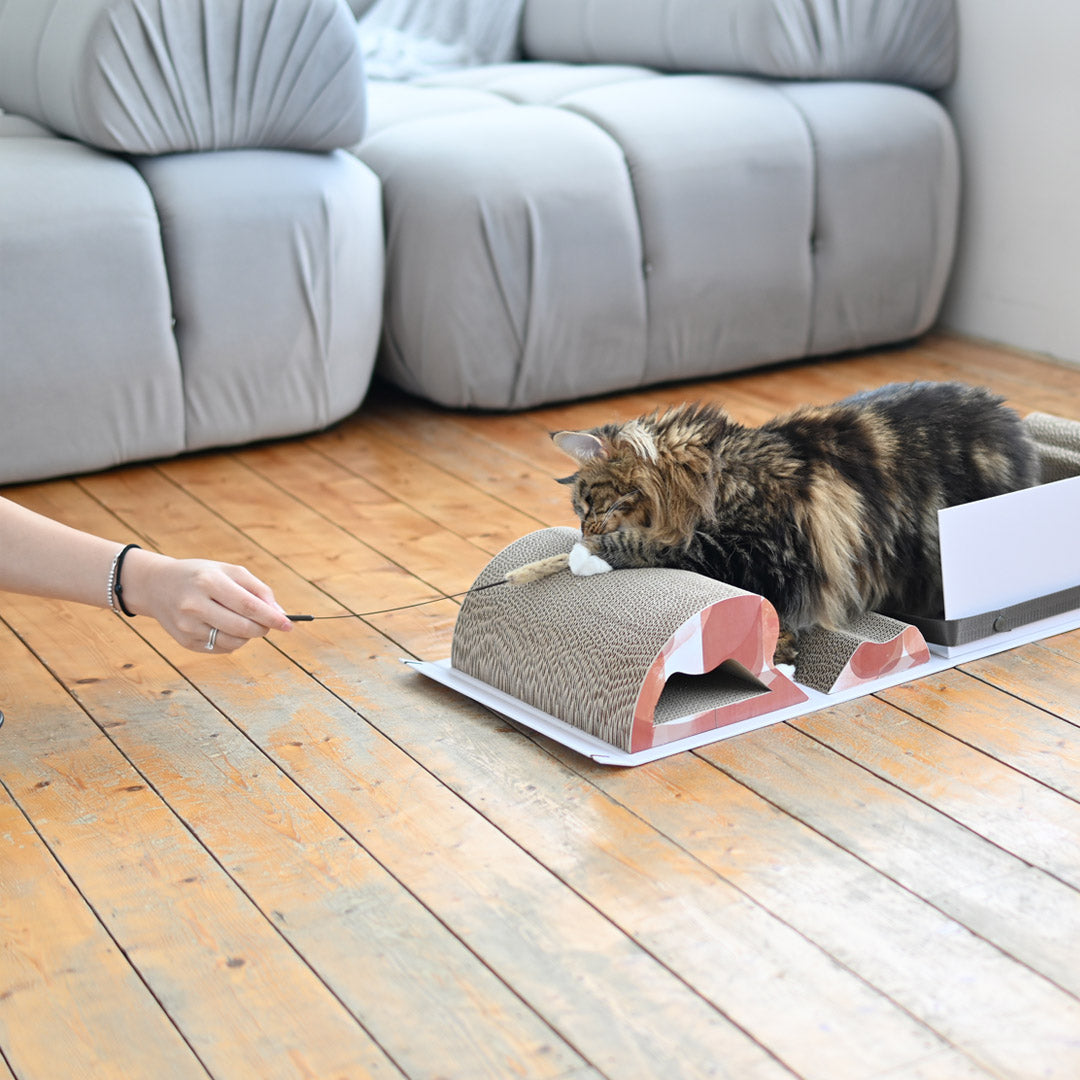 Pettellyava' Mystery Box Cats scratching boards designed with multi functions