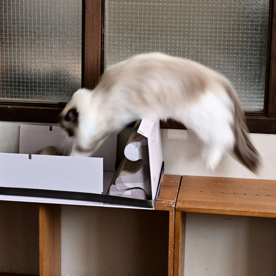 Pettellyava' Mystery Box Cats scratching boards designed with multi functions
