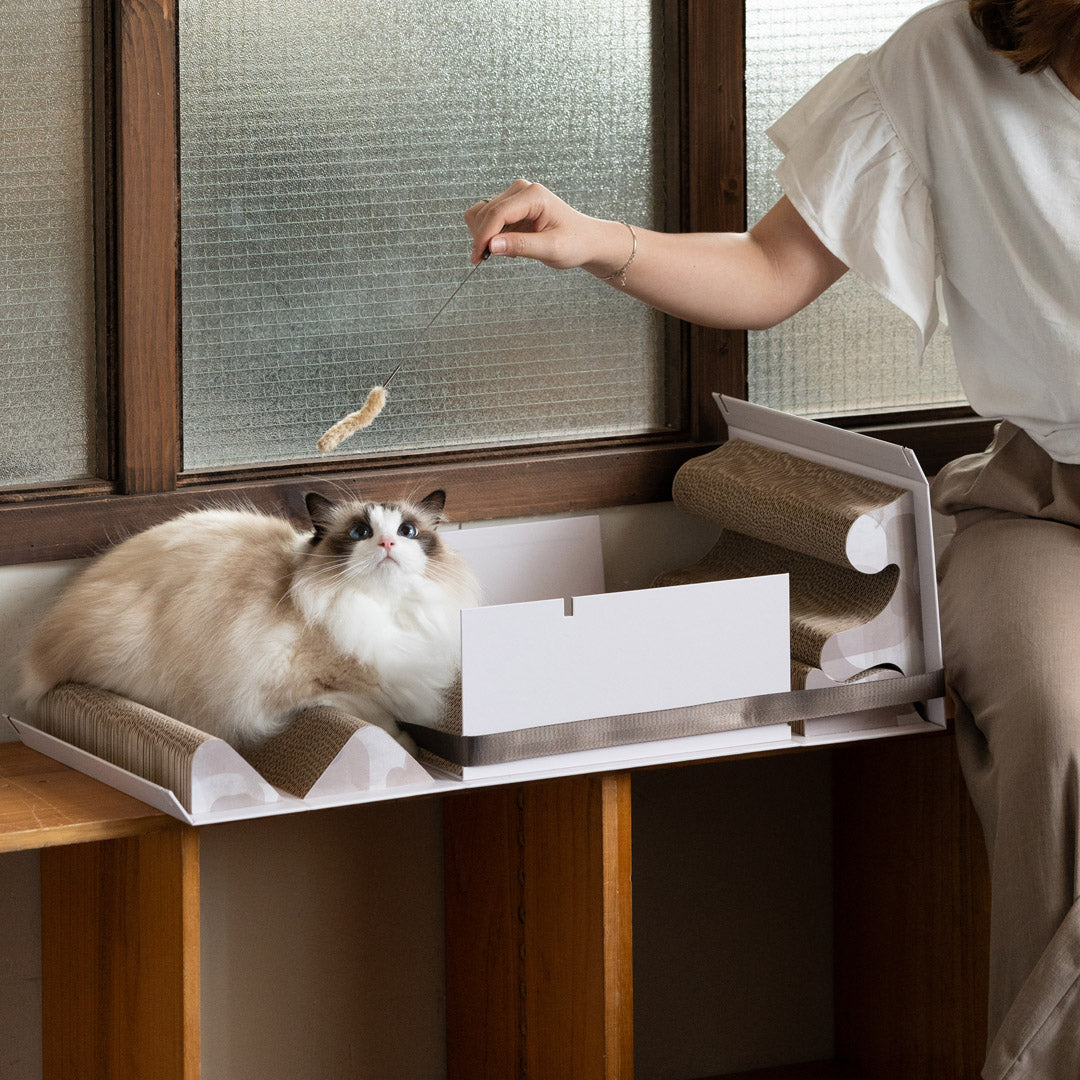 Pettellyava' Mystery Box Cats scratching boards designed with multi functions
