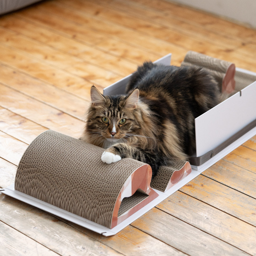 Pettellyava' Mystery Box Cats scratching boards designed with multi functions