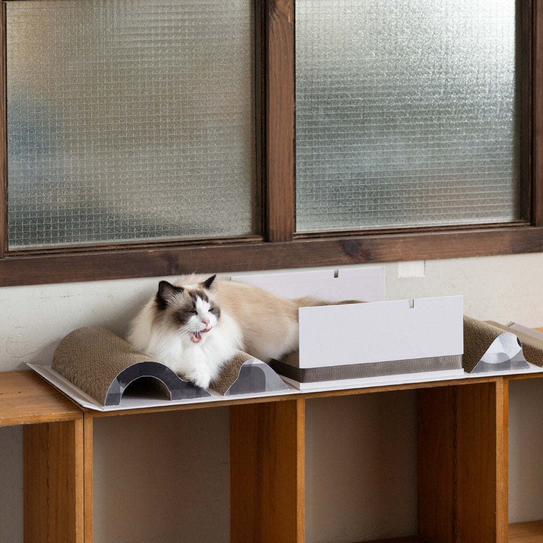 Pettellyava' Mystery Box Cats scratching boards designed with multi functions