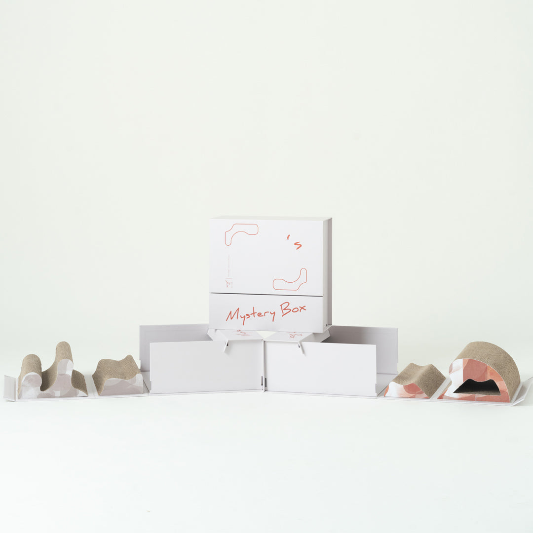 Pettellyava' Mystery Box Cats scratching boards designed with multi functions