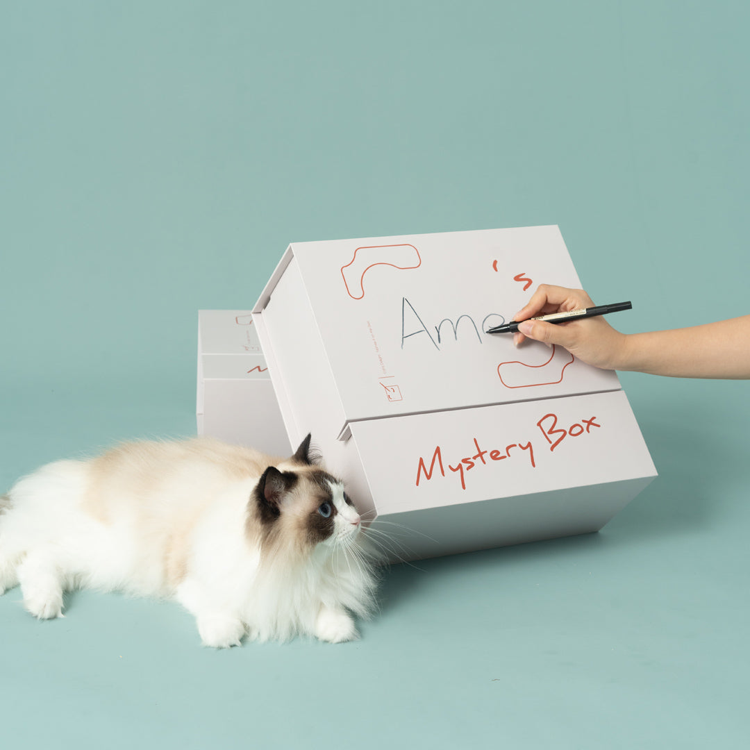 Pettellyava' Mystery Box Cats scratching boards designed with multi functions