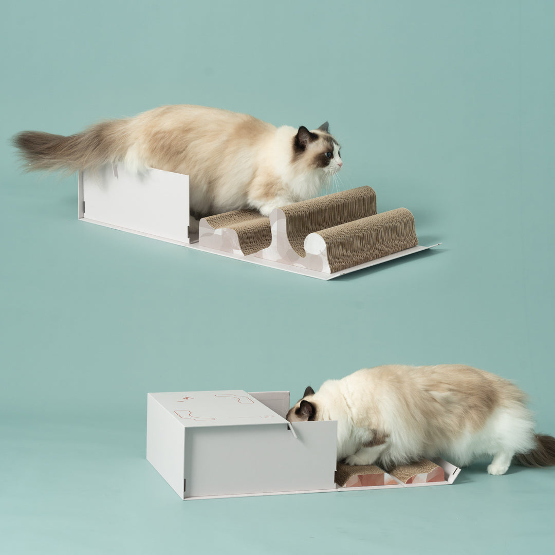 Pettellyava' Mystery Box Cats scratching boards designed with multi functions