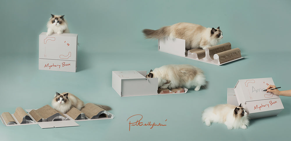 Pettellyava' Mystery Box Cats scratching boards designed with multi functions