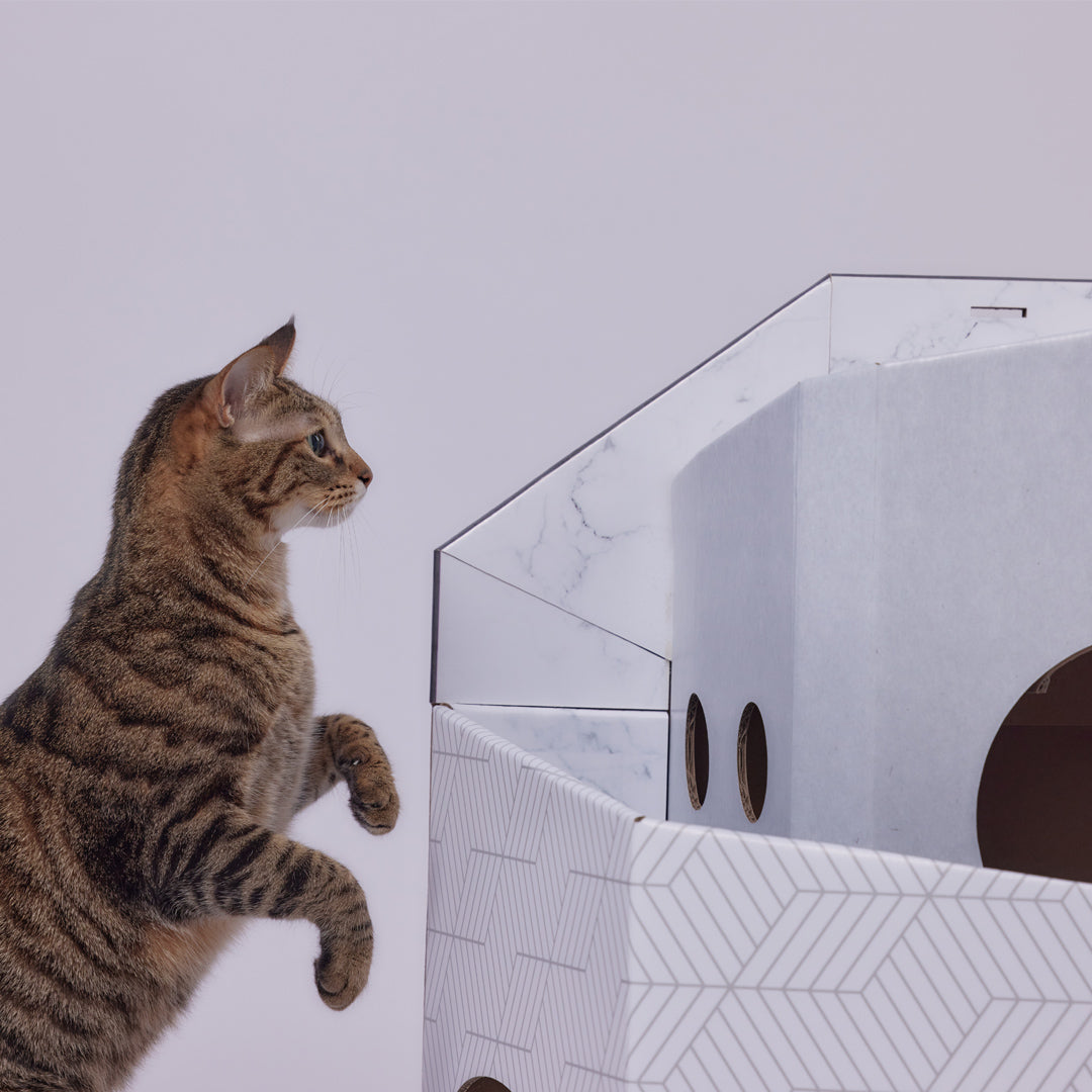 Pettellyava' Mini Cat Mansion 搭疊式貓屋 (D1 影子大厦)