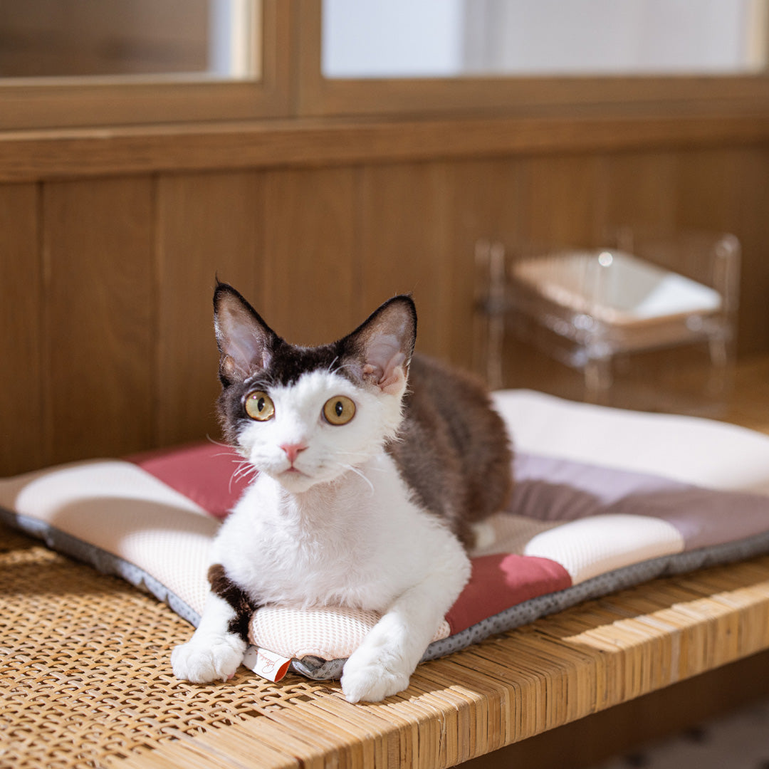 Pettellyava' Miqoo Air Cooling Mat