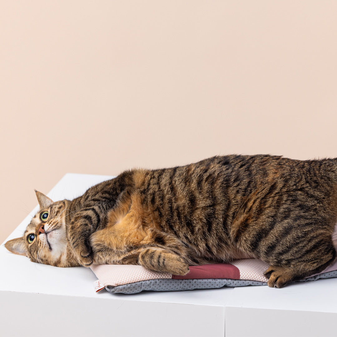 Pettellyava' Miqoo Air Cooling Mat