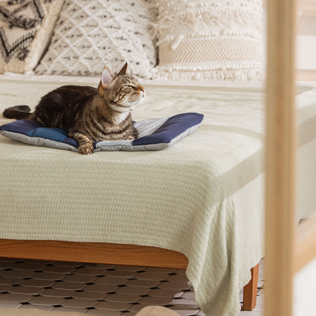 Pettellyava' Miqoo Air Cooling Mat