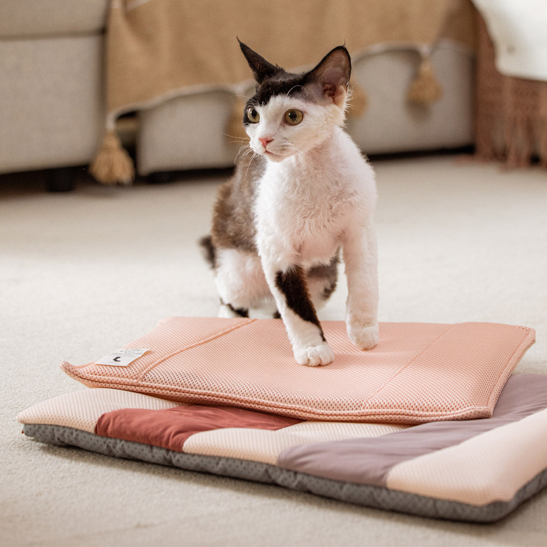 Pettellyava' Miqoo Air Cooling Mat
