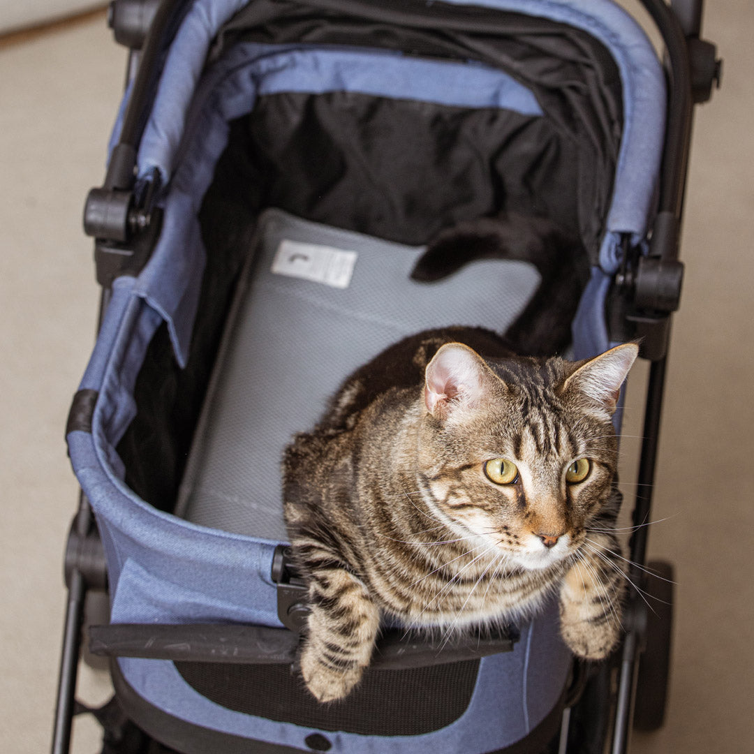 Pettellyava' Miqoo Air Cooling Mat