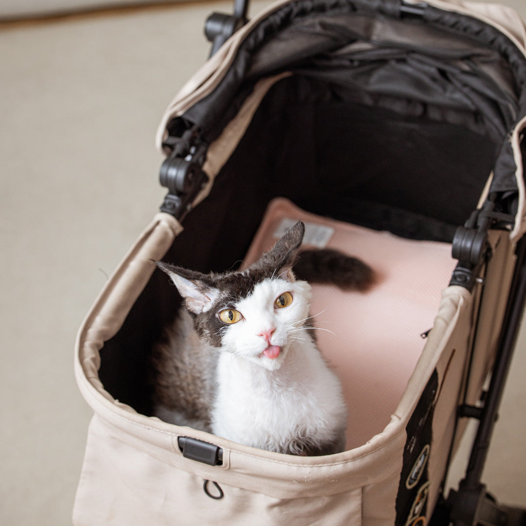 Pettellyava' Miqoo Air Cooling Mat