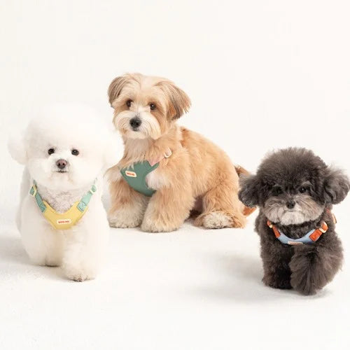 BiteMe Comfort Harness v2 Pet Harness