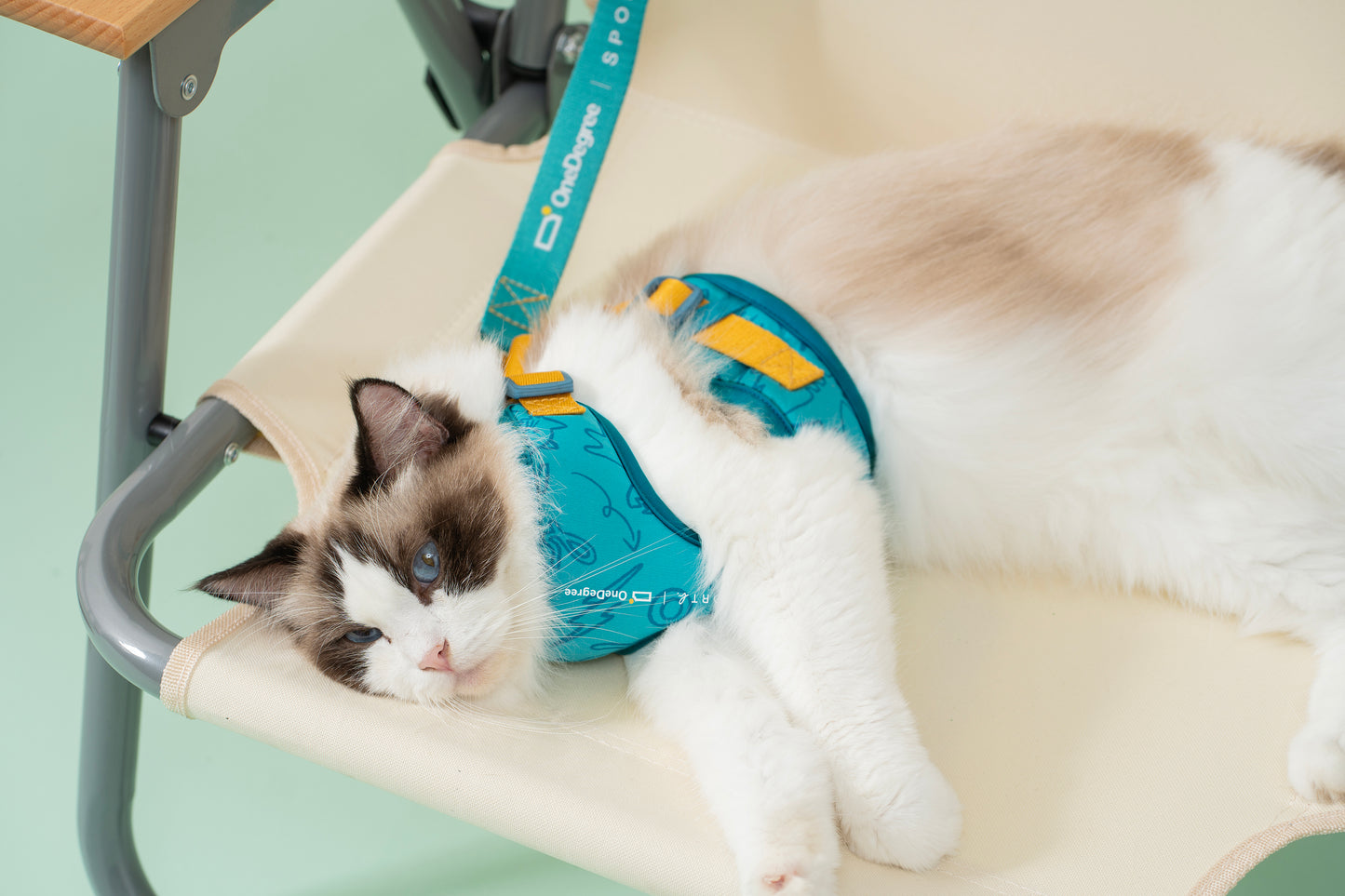 OneDegree | Sport b: Limited Edition Pet Harnesses & Leashes