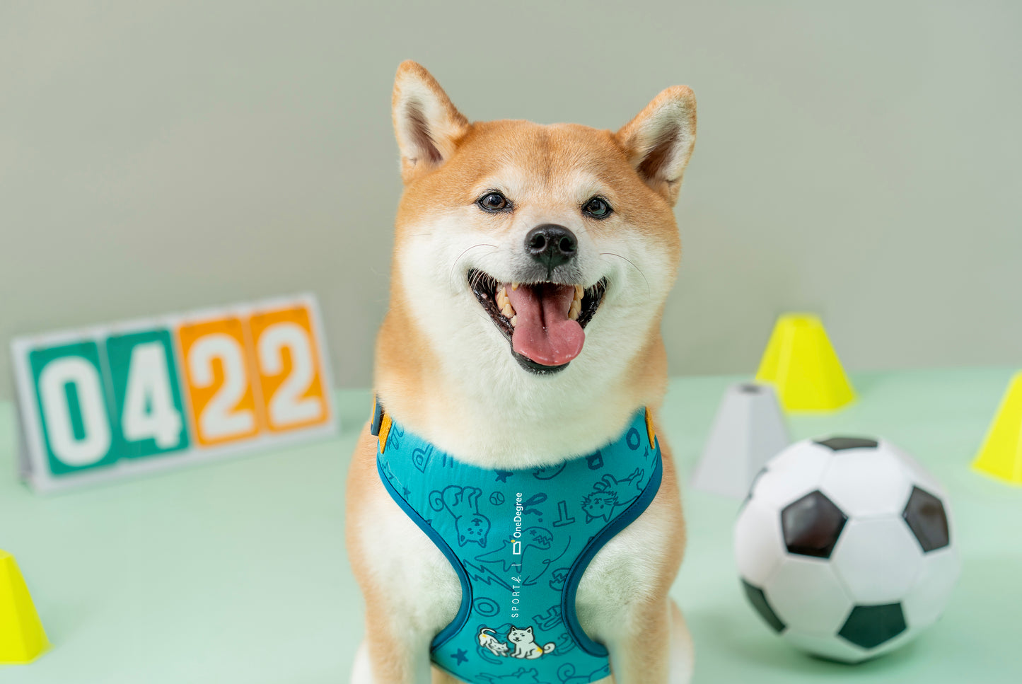 OneDegree | Sport b. 期間限定寵物胸背帶連牽繩