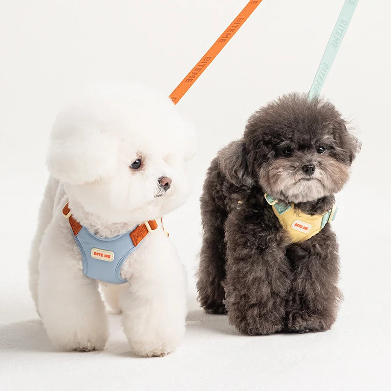 BiteMe Comfort Leash v2 Pet Leash (3 Styles)