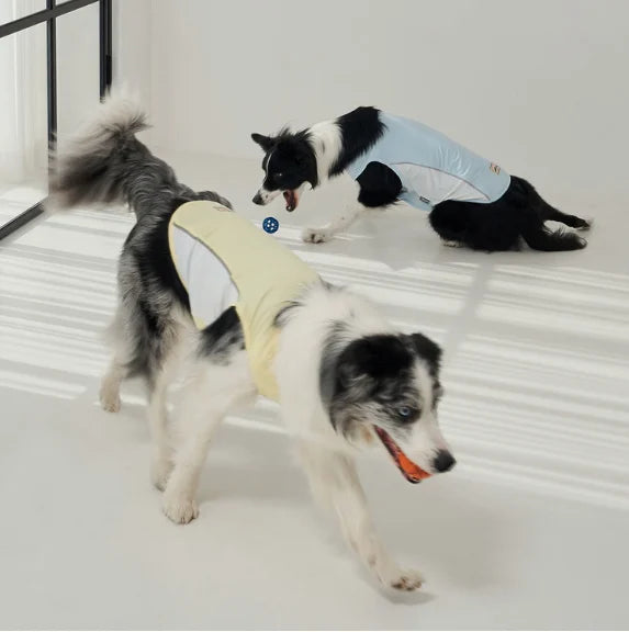 【韓國直送】Super Pet 狗狗涼感機能背心 (DG013)