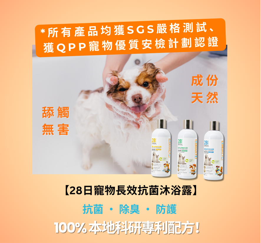 Germagic Pet 寵物28日抗菌沐浴露-爽身粉味