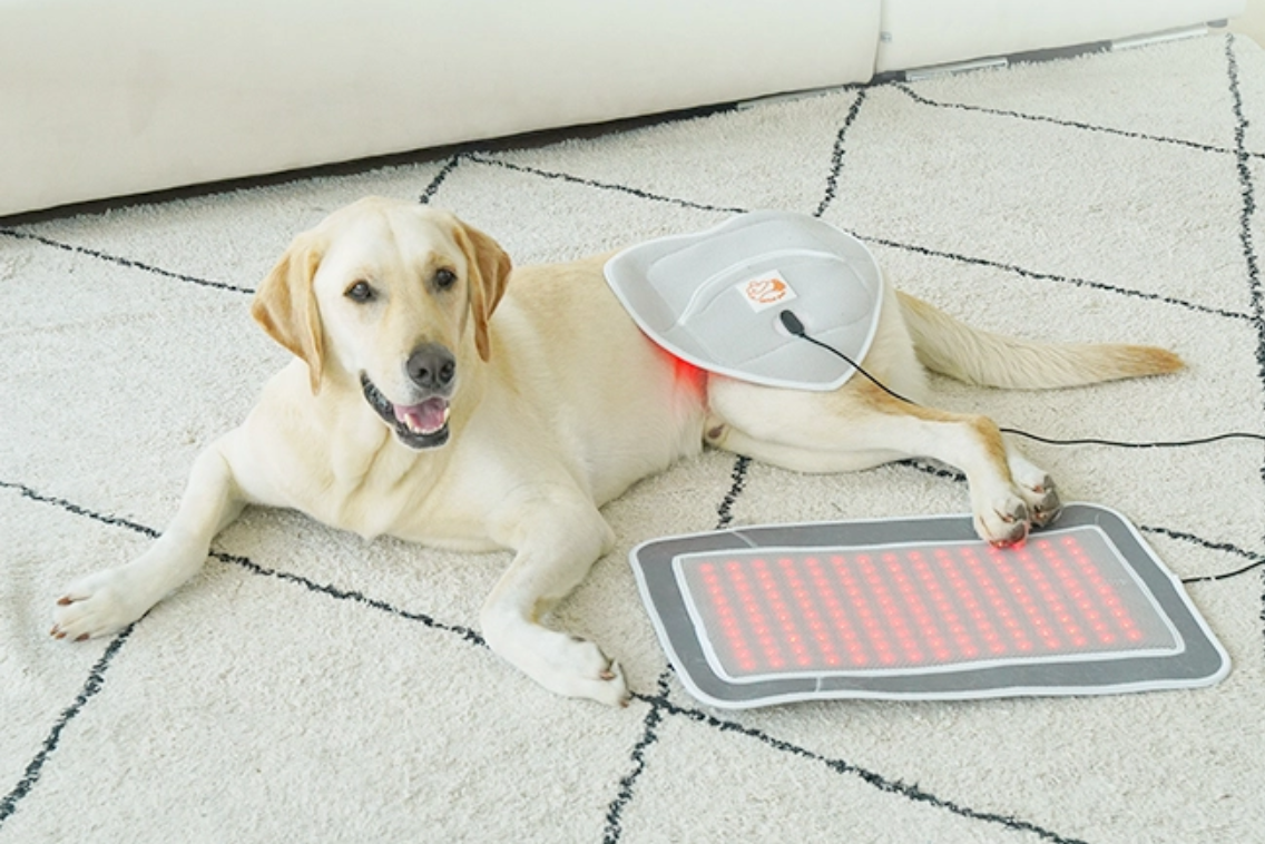 Cirius Pet 寵物紅外線光療墊 (躺療款)