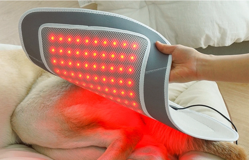 Cirius Pet 寵物紅外線光療墊 (躺療款)