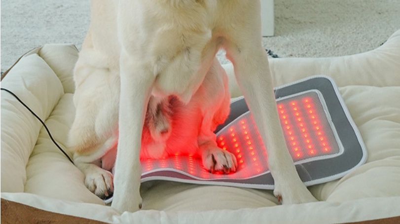 Cirius Pet 寵物紅外線光療墊 (躺療款)