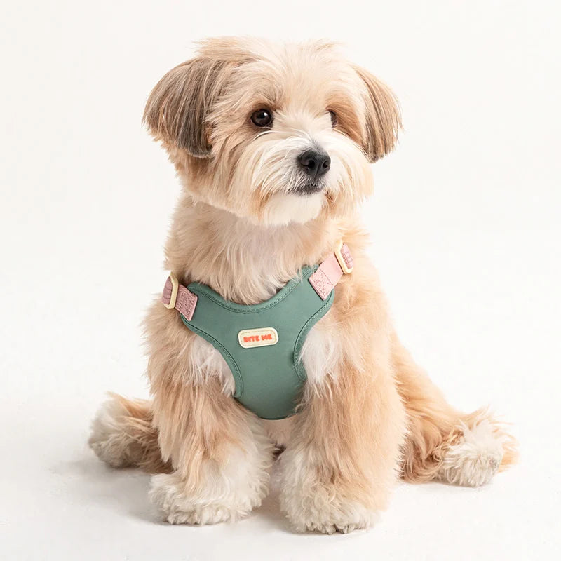 BiteMe Comfort Harness v2 寵物胸背帶