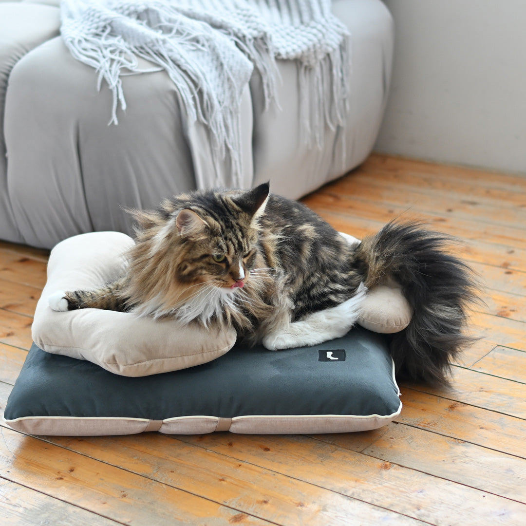 Pettellyava' Surro Pet Bed