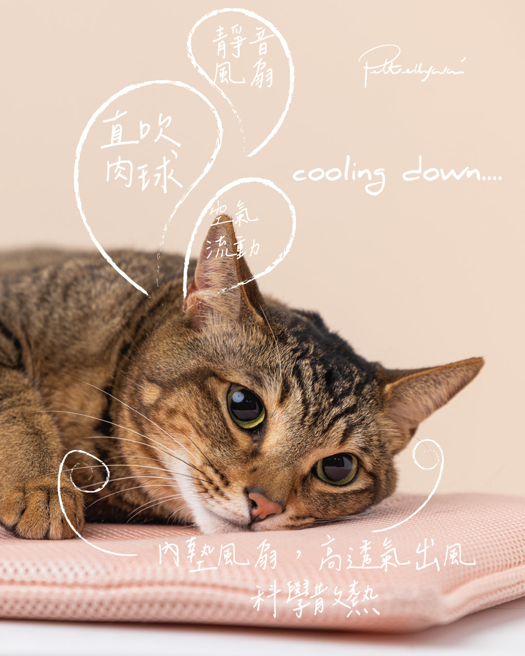 Pettellyava' Miqoo Air Cooling Mat