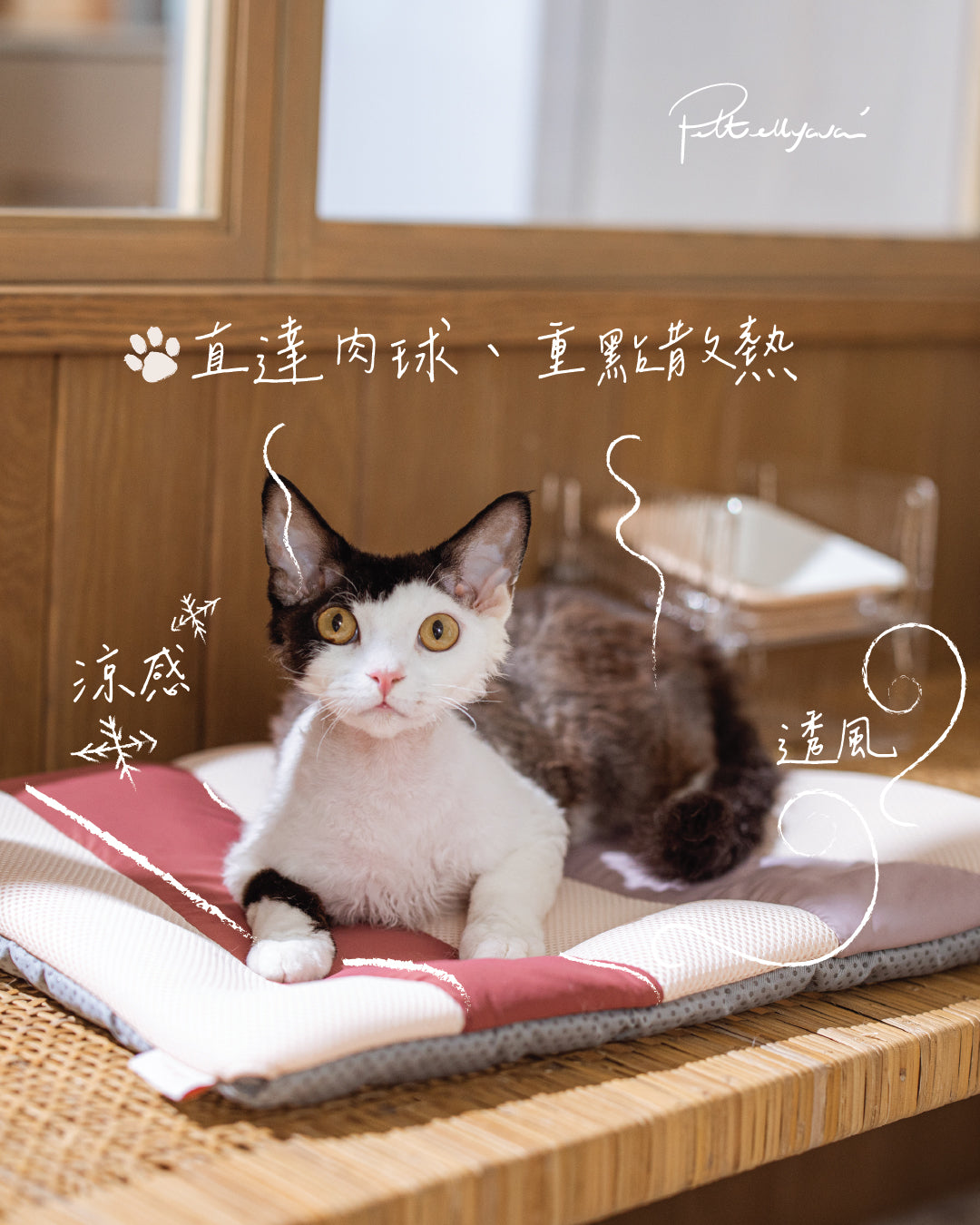 Pettellyava' Miqoo Air Cooling Mat