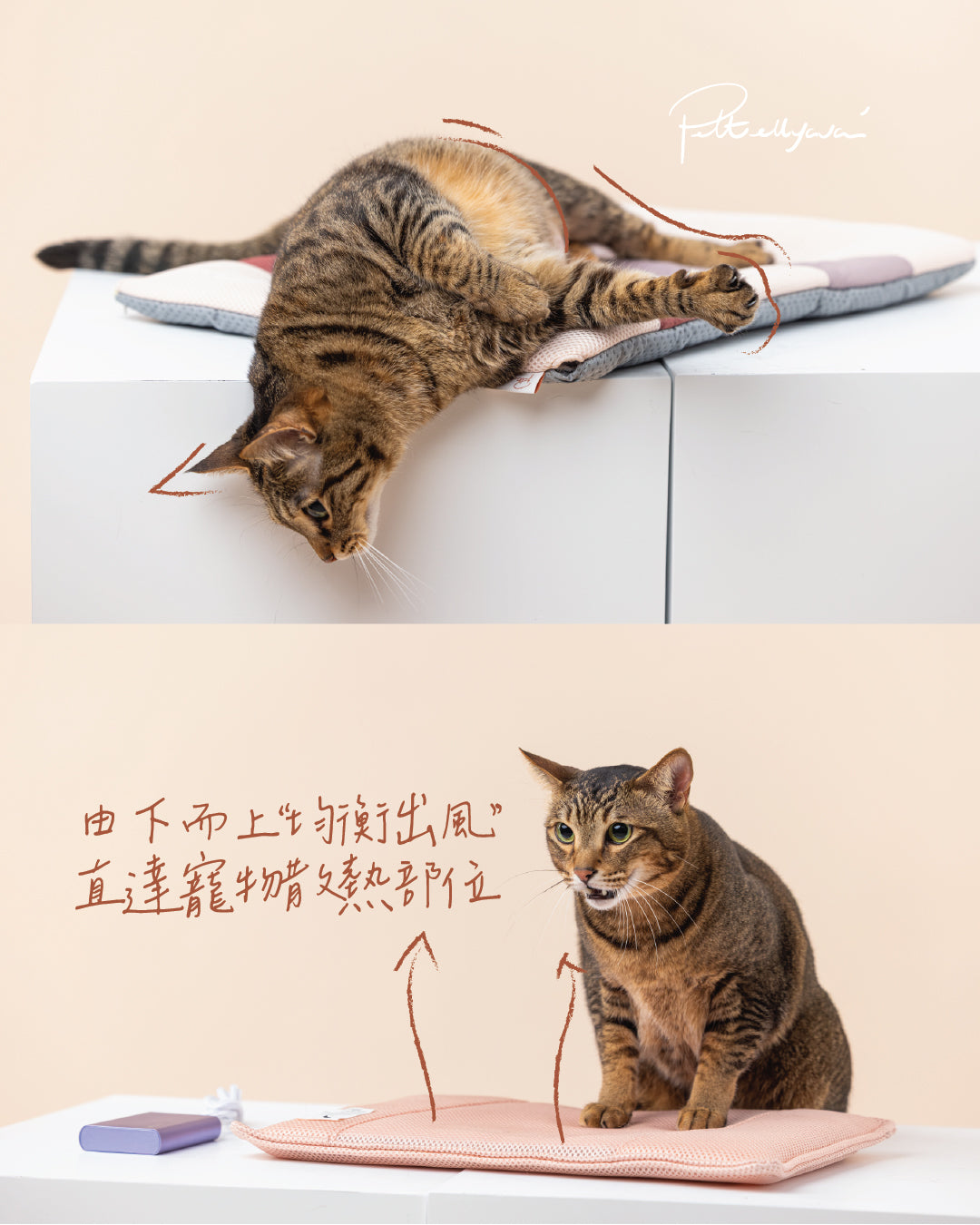 Pettellyava' Miqoo Air Cooling Mat