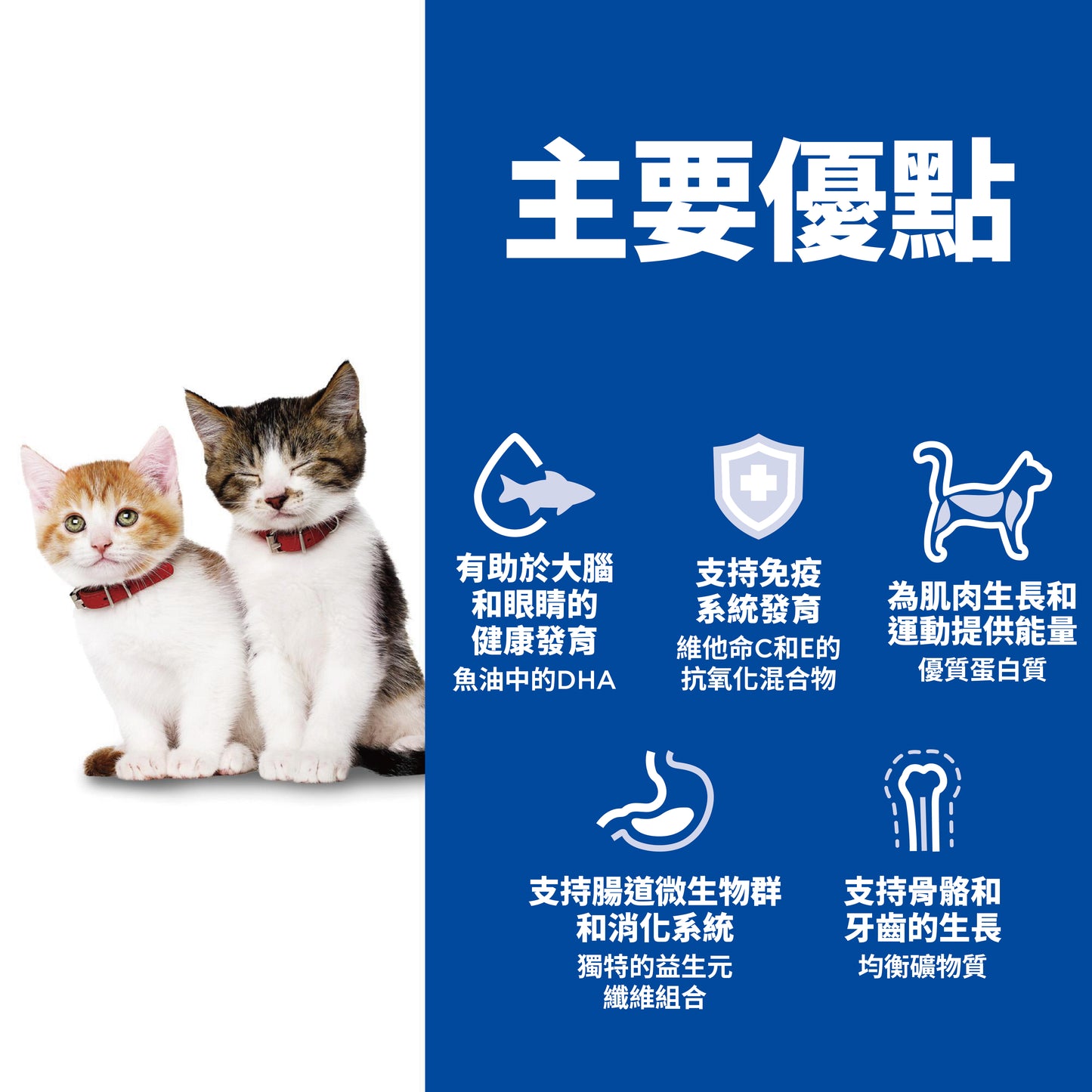 [24罐優惠] 幼貓 三文魚主食罐 2.9安士 (10806)