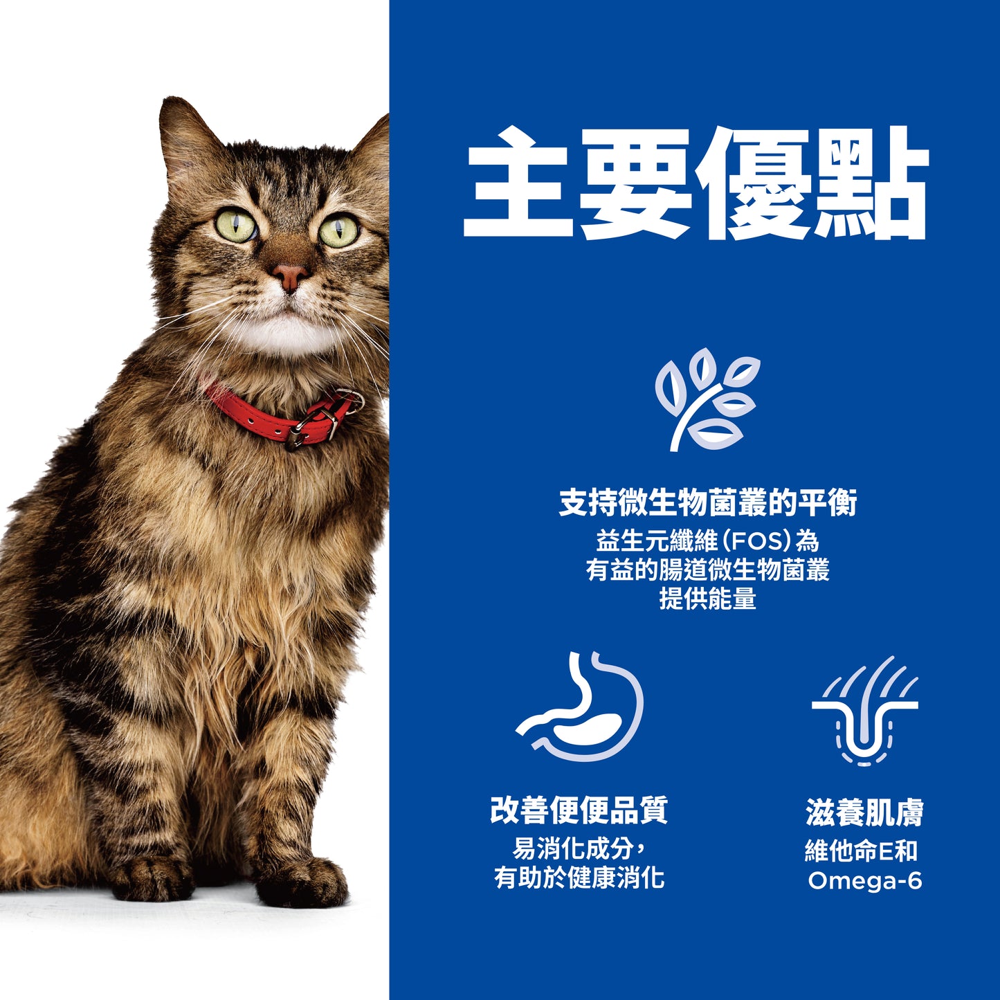[24罐優惠] 成貓 敏感腸胃及皮膚 鴨肉蔬菜主食罐 2.9安士 (608490)