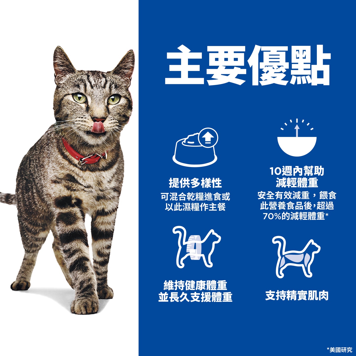 [24罐優惠] 成貓 完美體重 蔬菜火雞肉主食罐 2.9安士 (608492)