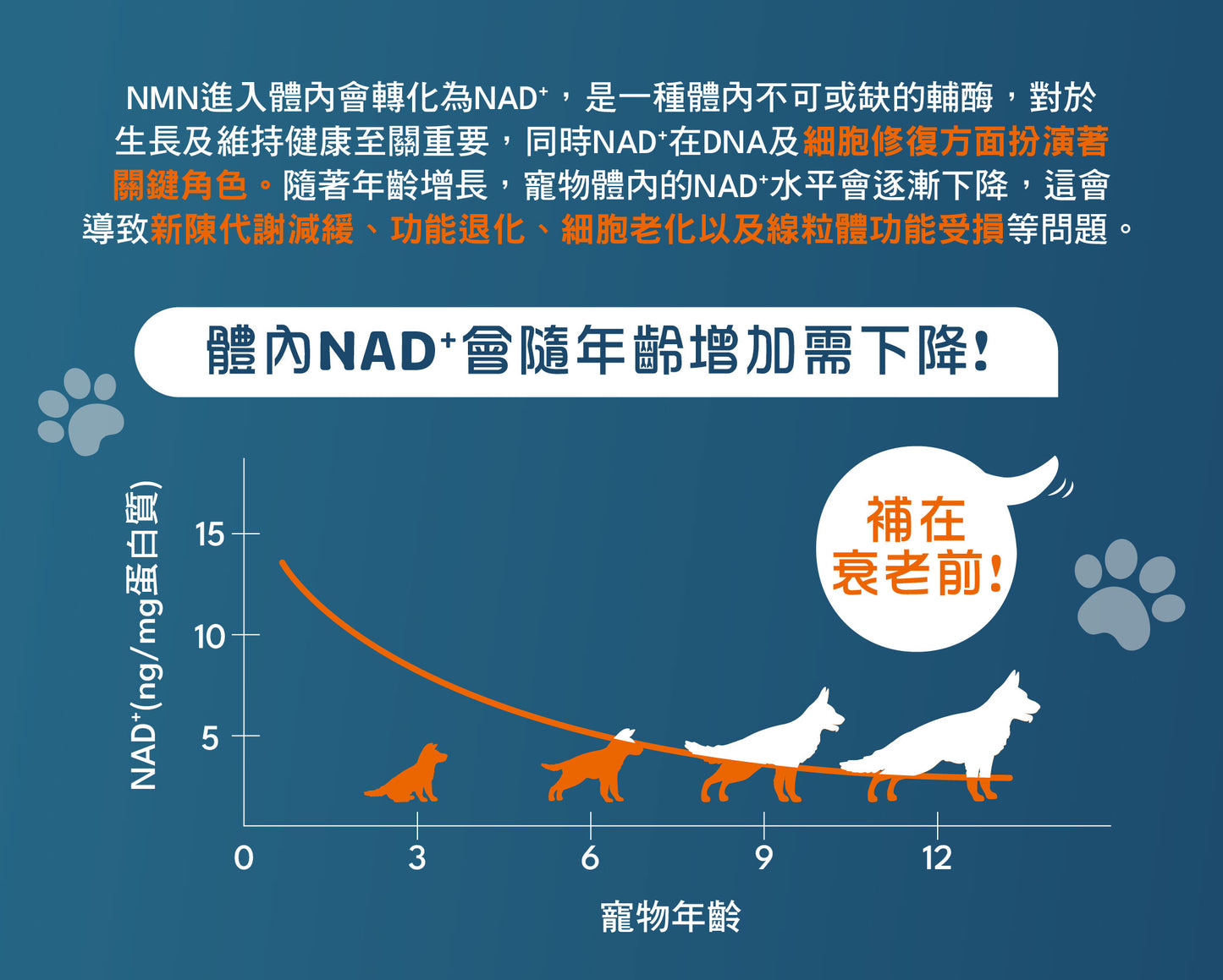 Vetalo NMN活力重生配方 60粒