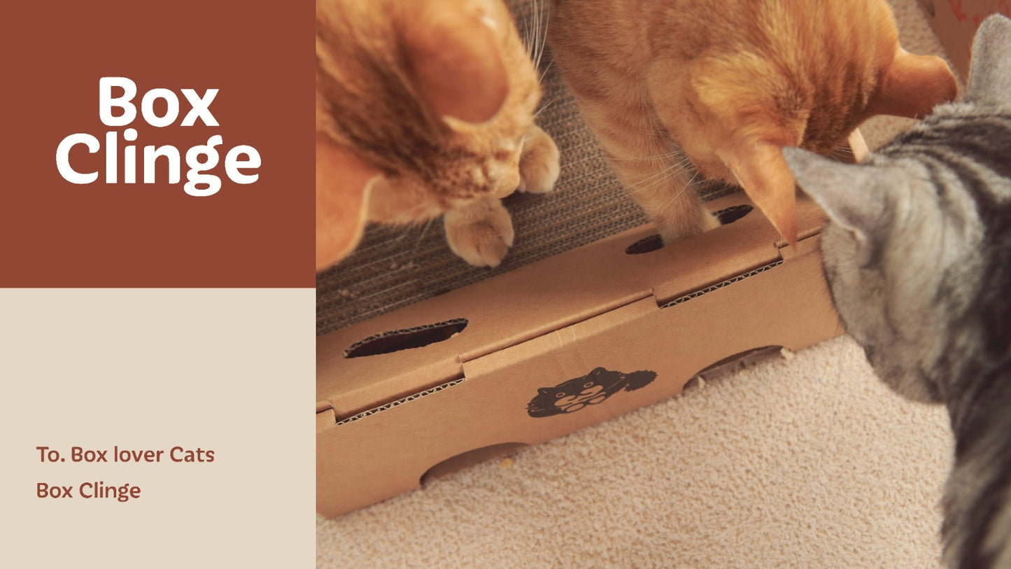 Dr.Felis Box Clinge -L