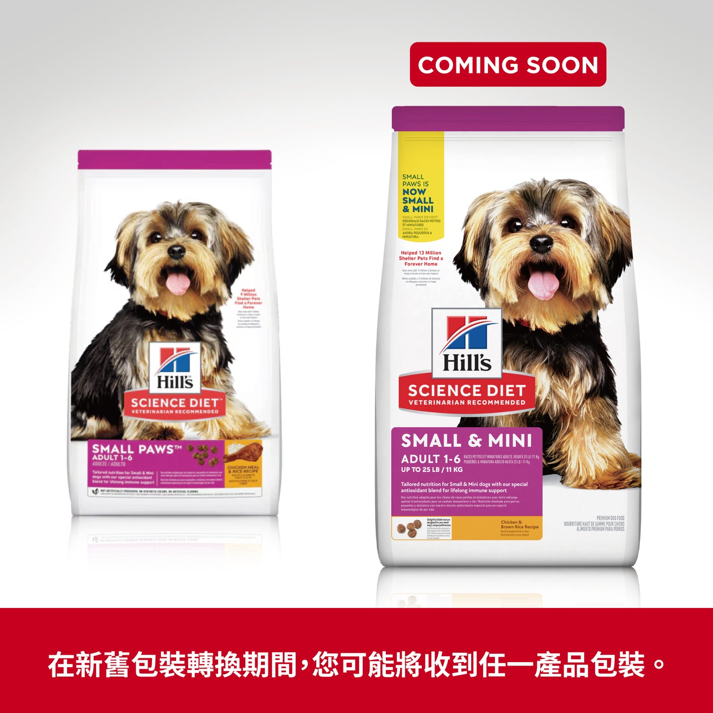 小型犬 專用系列 - 成犬配方15.5磅 狗糧 (9097)