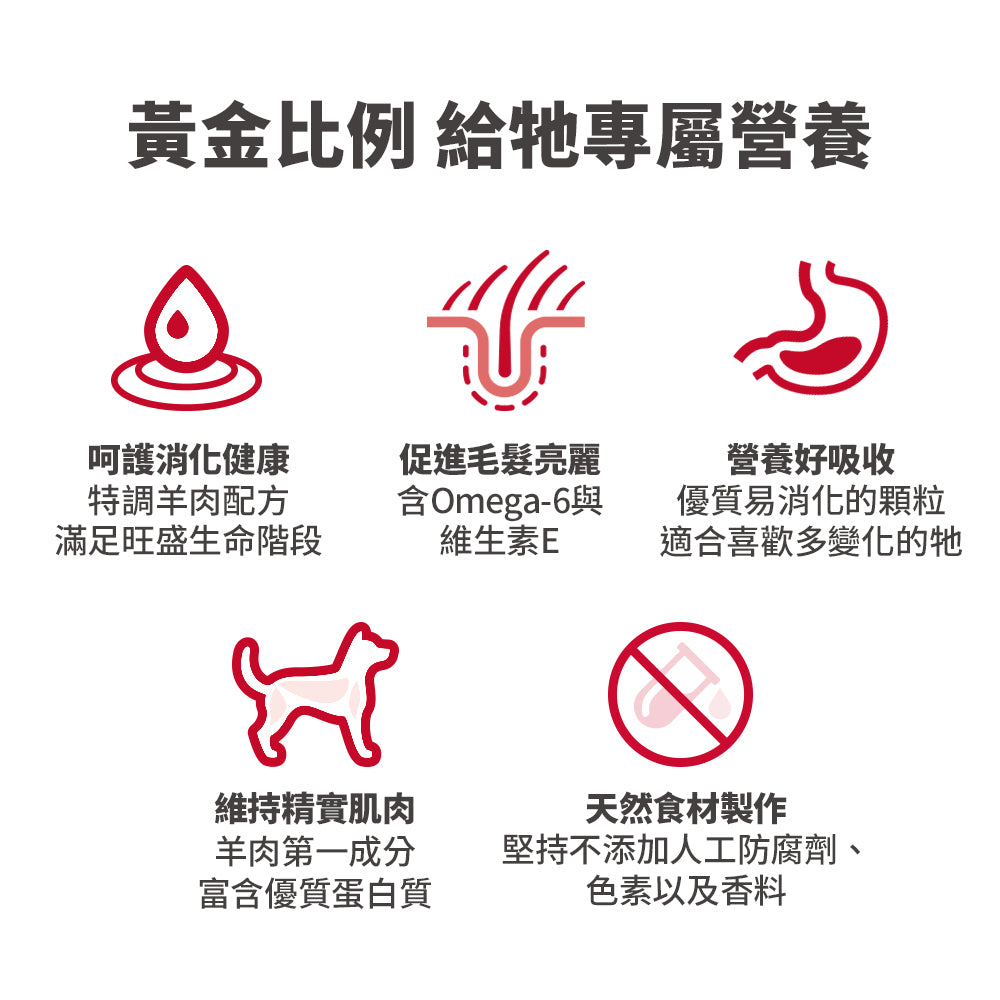 成犬 羊飯 標準粒裝 33磅 狗糧 (2036)