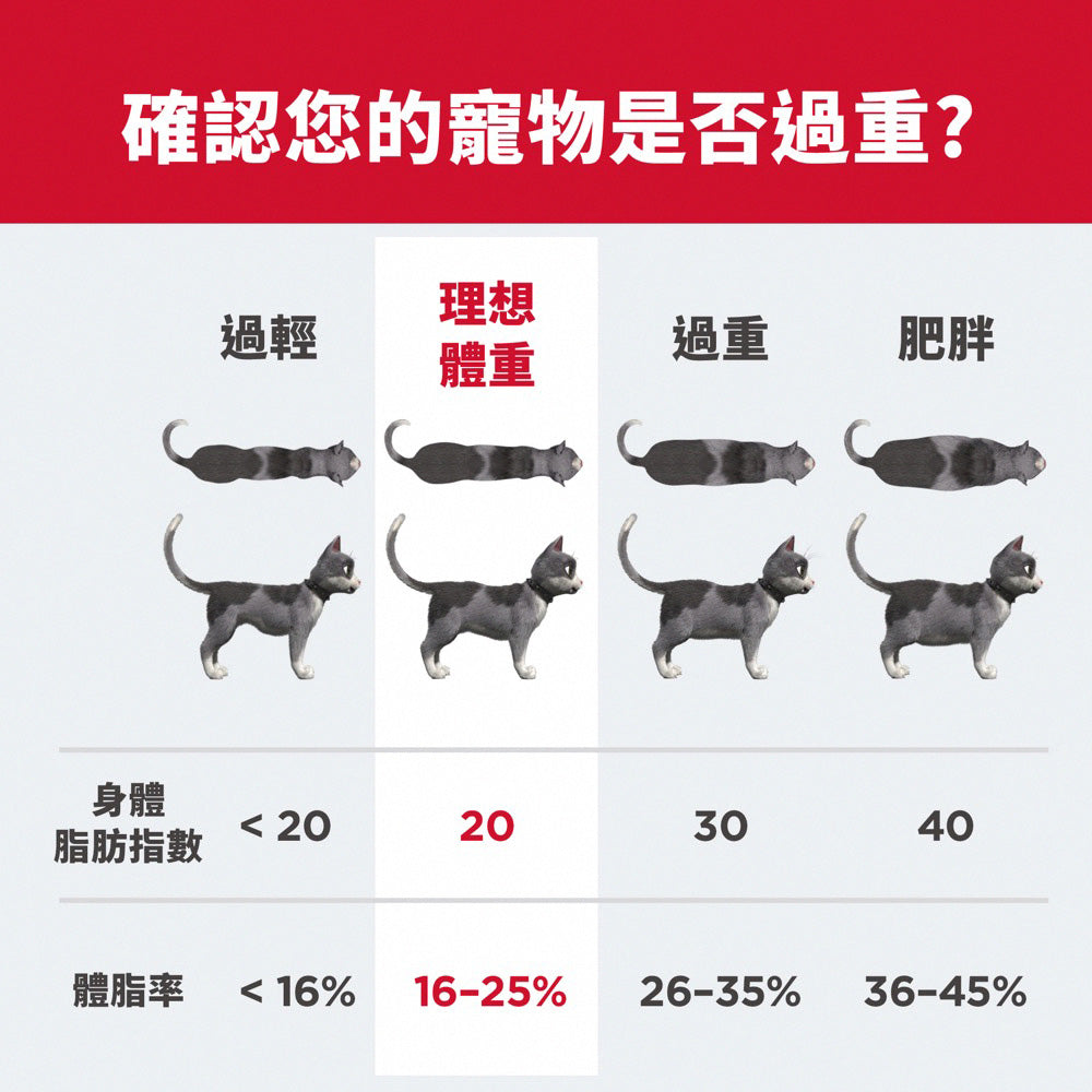 成貓 完美體態 3 磅 貓糧 (2968)