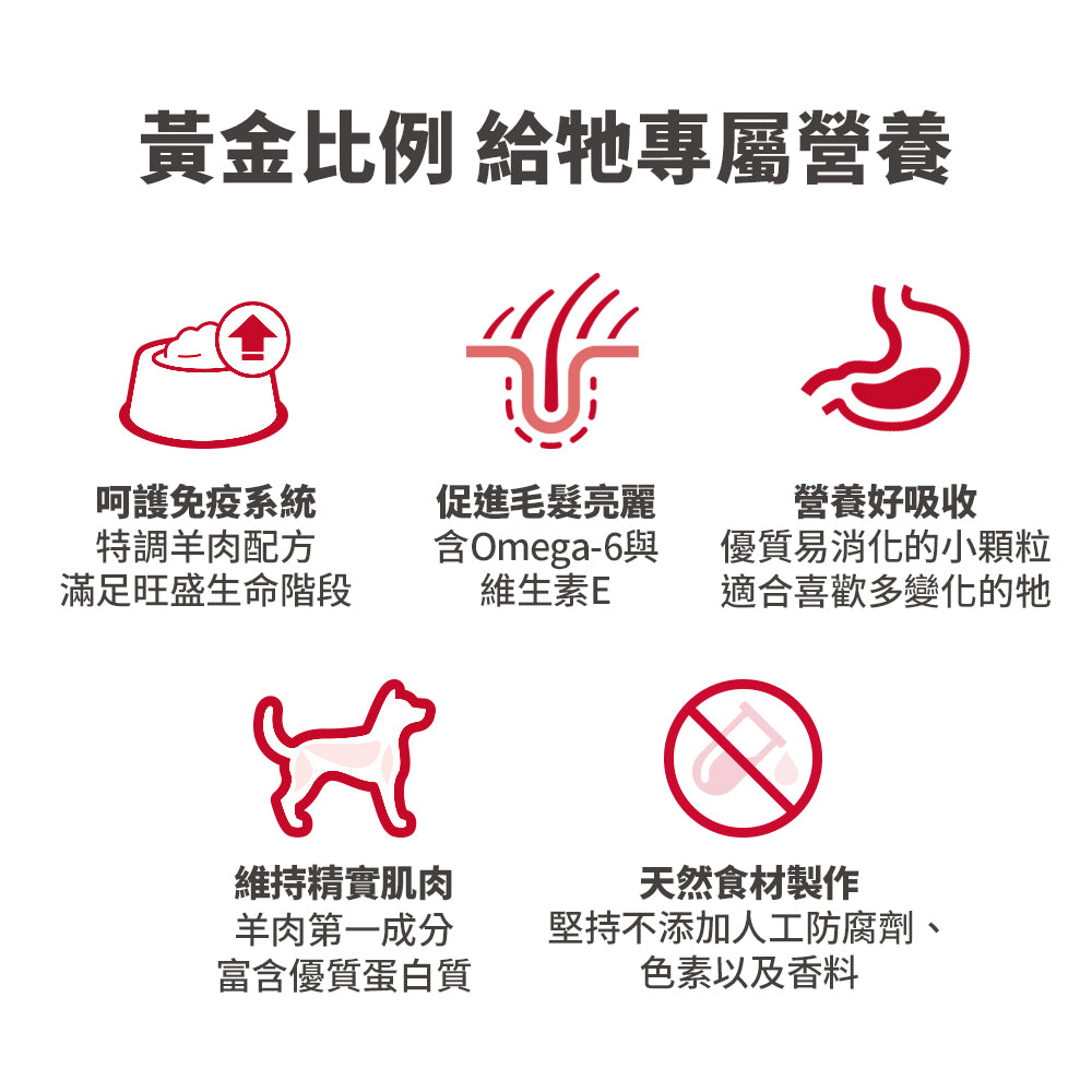 成犬 羊飯 細粒裝 3 公斤 狗糧 (1141HG)