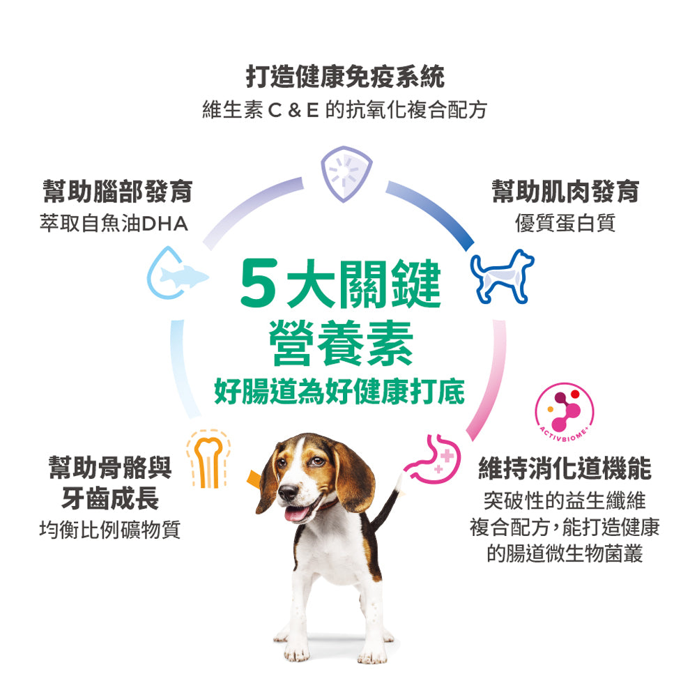 幼犬 標準粒裝 3公斤 狗糧 (6929HG)