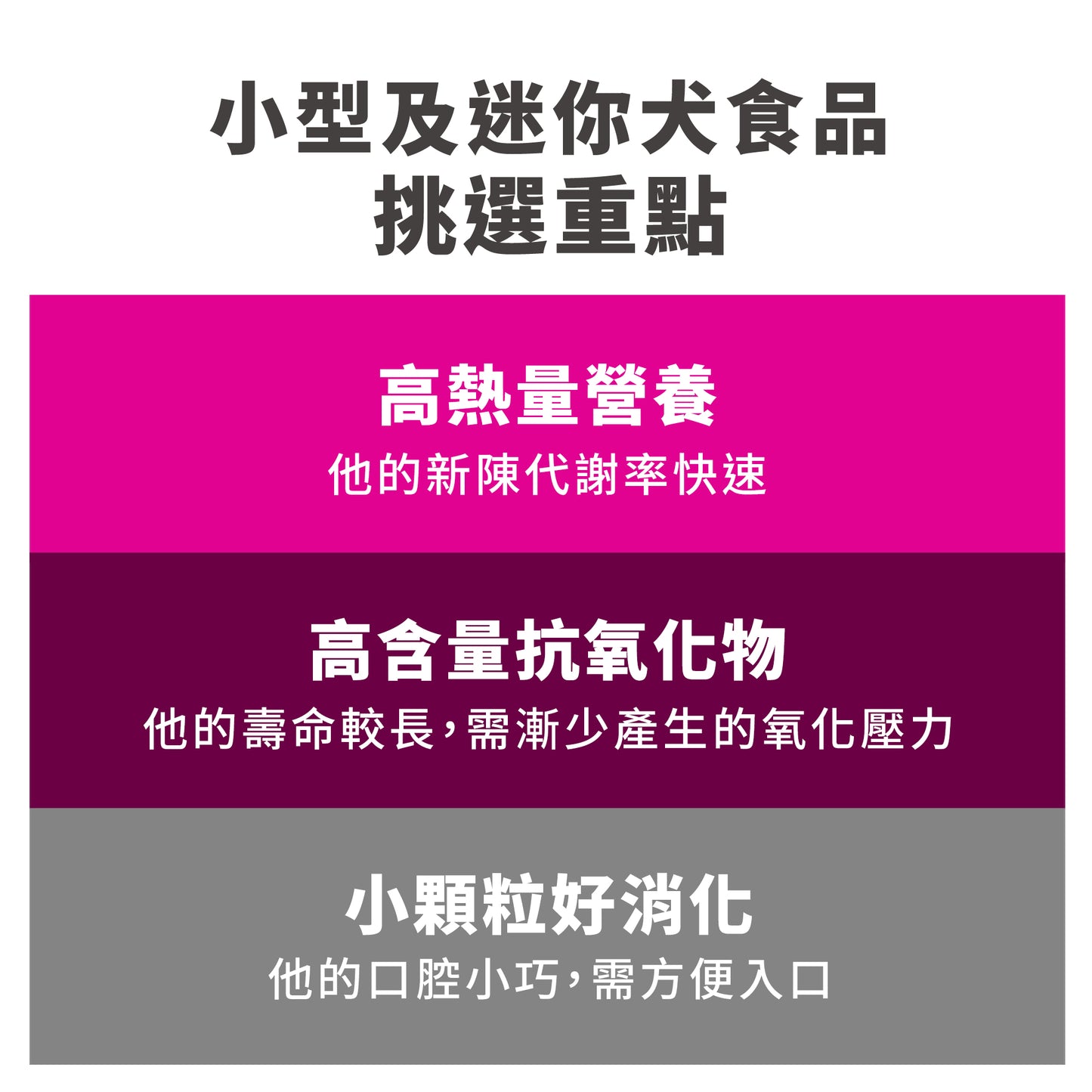 小型犬 專用系列 - 成犬配方15.5磅 狗糧 (9097)