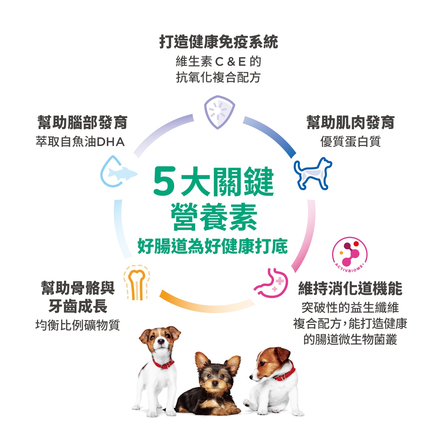 Hill's 小型犬 專用系列 - 幼犬配方 1.5 公斤 狗糧 (603830)
